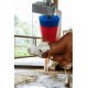 Brosse à vaches HAPPYCOW MaxiSwing