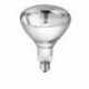 Lampe IR "Phillips" vendu par 10,240v blanche,verre renforcé