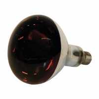 Lampe Kerbl IR rouge,vendu par 10, verre de sécurité