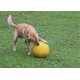 Balle de jeu pour chien 30 cm, jaune
